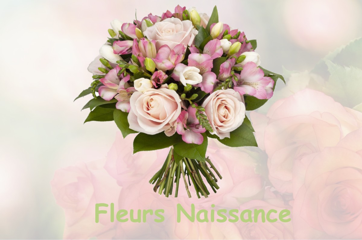 fleurs naissance NOTRE-DAME-DE-COMMIERS