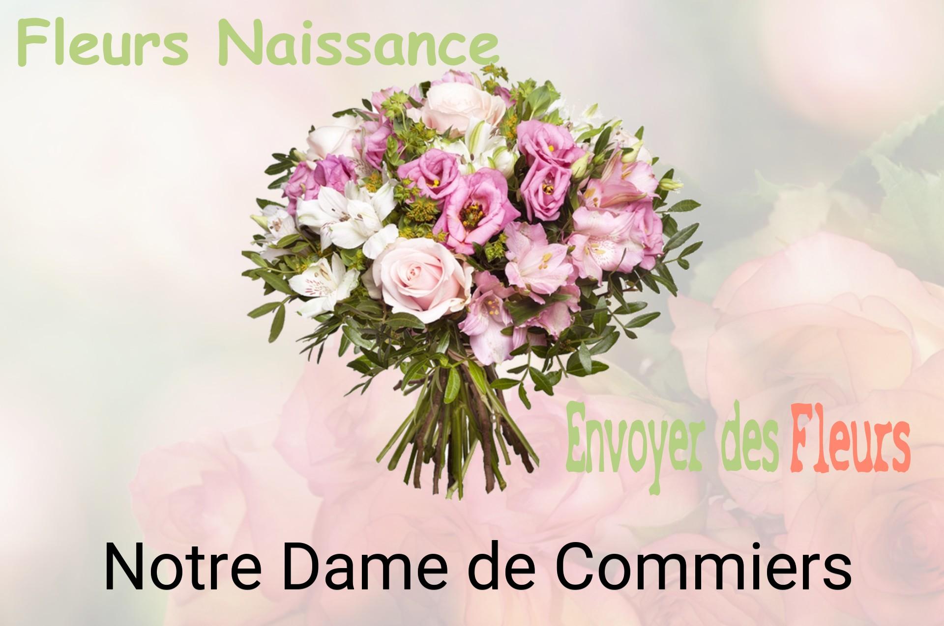 Bouquet de fleurs de naissance livré à Notre-Dame-de-Commiers