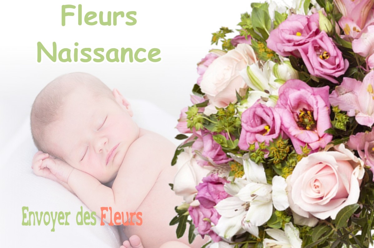 lIVRAISON FLEURS NAISSANCE à NOTRE-DAME-DE-COMMIERS